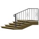 Wrought iron staircase E0116