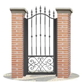Fences doors wrought iron PV0031
