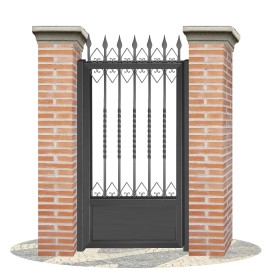 Fences doors wrought iron PV0047