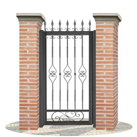Fences doors wrought iron PV0052