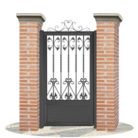 Fences doors wrought iron PV0053