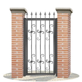 Fences doors wrought iron PV0067